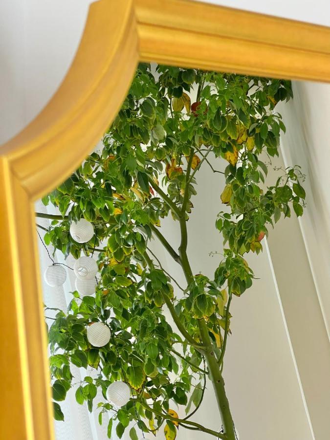 #Lemon Tree By Halu! Apartments Thessaloníki Ngoại thất bức ảnh